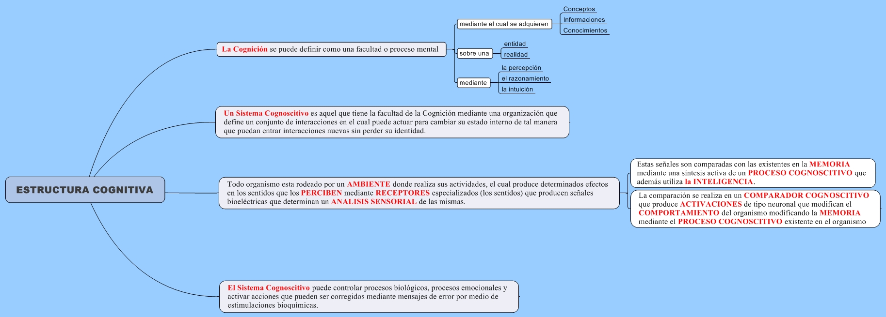 ESTRUCTURA COGNITIVA